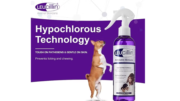 Leucillin Antiseptic Spray 500ml