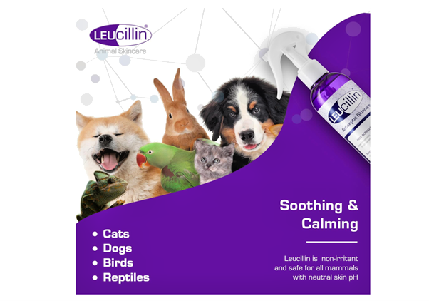 Leucillin Antiseptic Spray 500ml