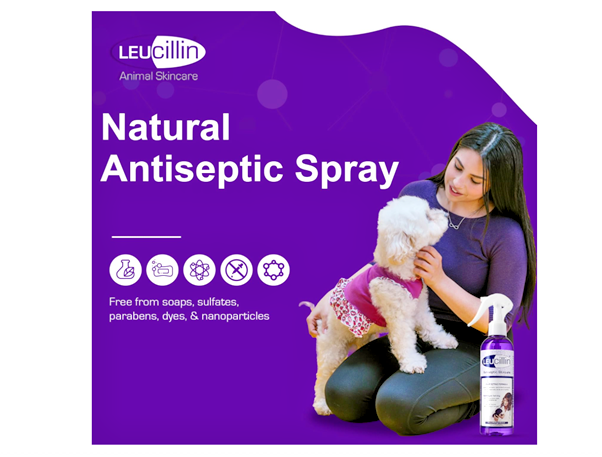 Leucillin Antiseptic Spray 500ml