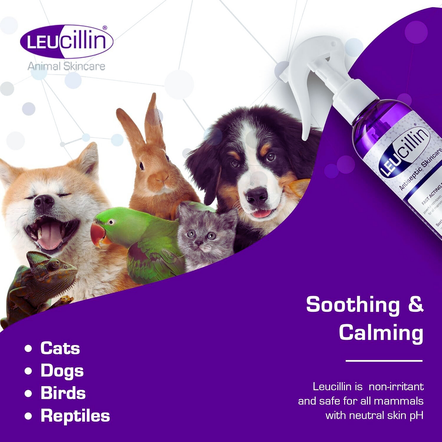 Leucillin Antiseptic Spray 250ml