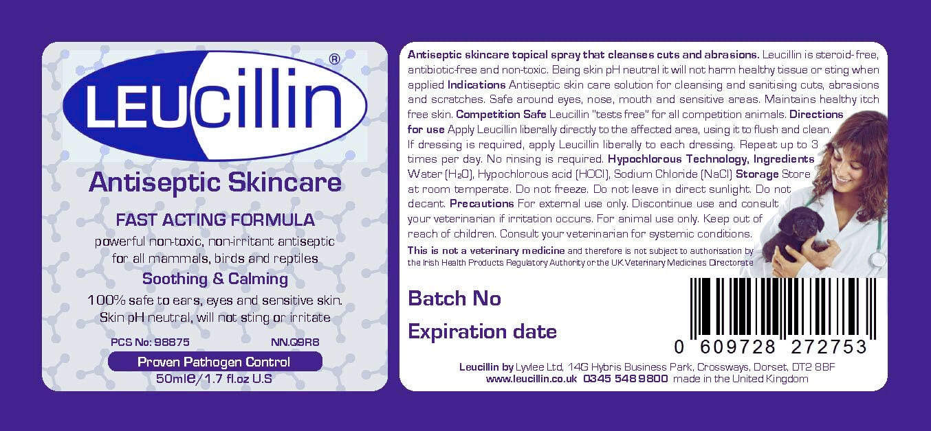 Leucillin Antiseptic Spray 250ml