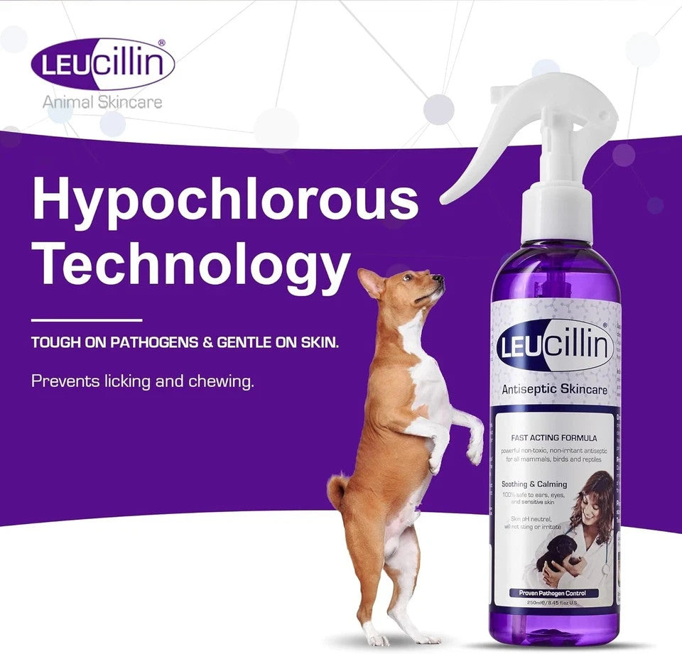 Leucillin Antiseptic Spray 150ml