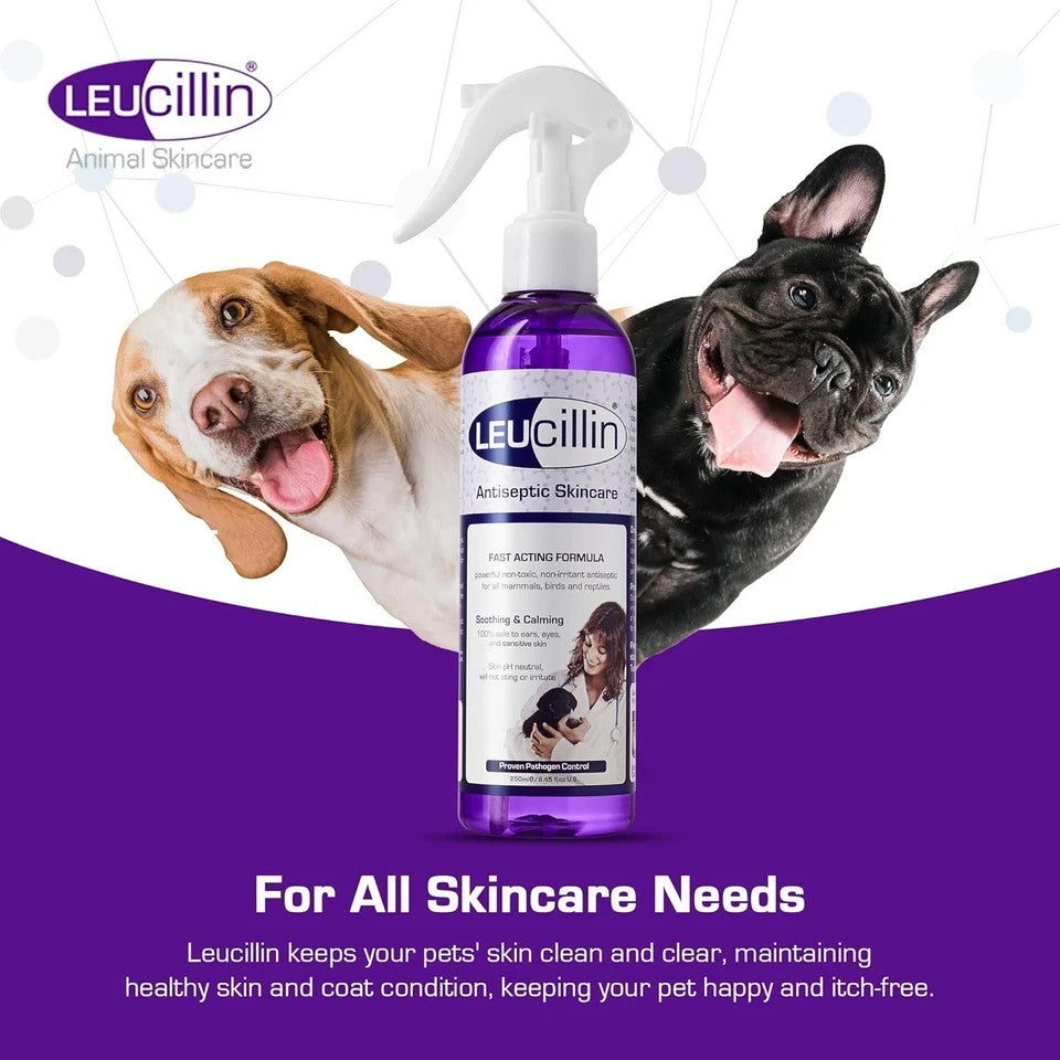 Leucillin Antiseptic Spray 150ml