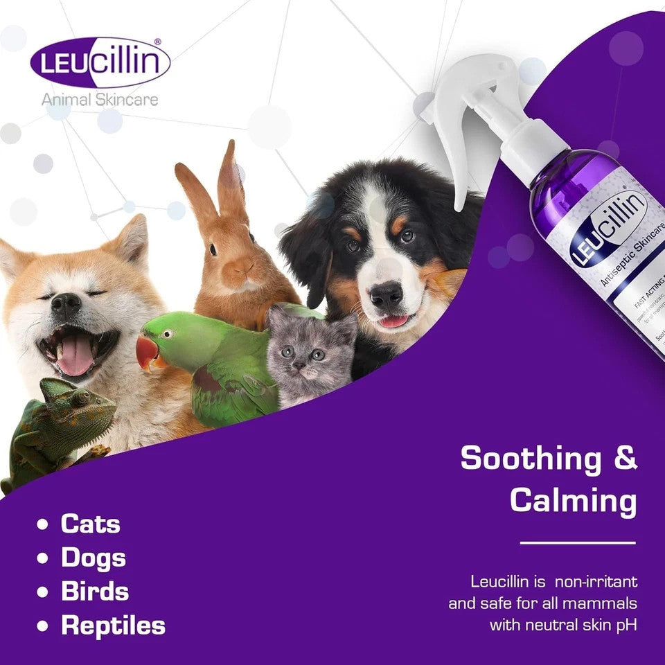 Leucillin Antiseptic Spray 150ml