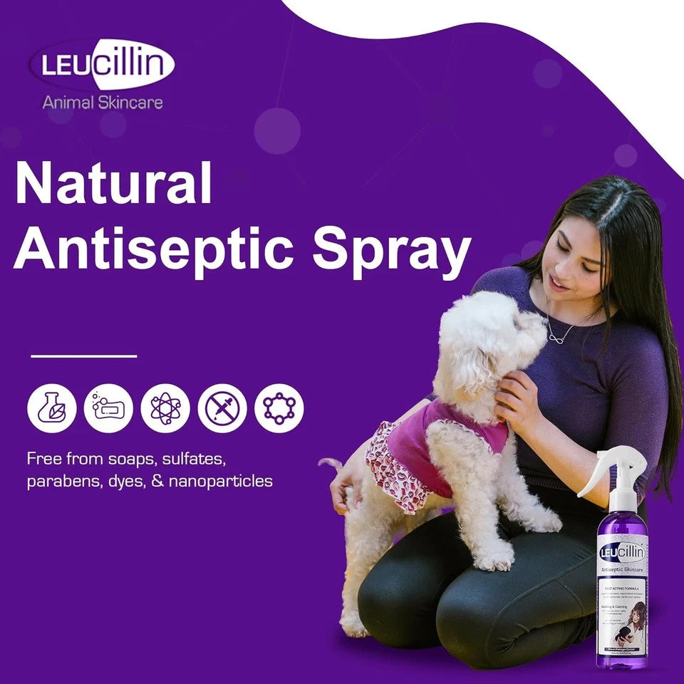 Leucillin Antiseptic Spray 150ml