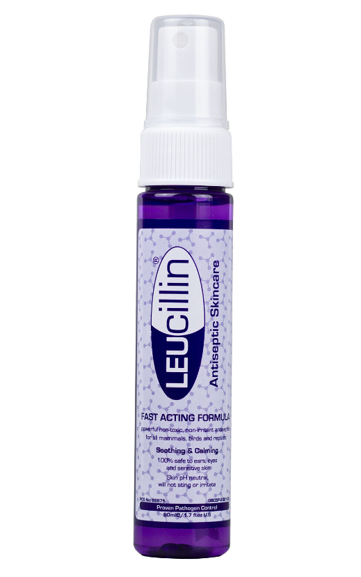 Leucillin Antiseptic Spray 60ml