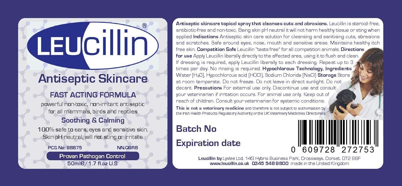 Leucillin Antiseptic Drops 50ml