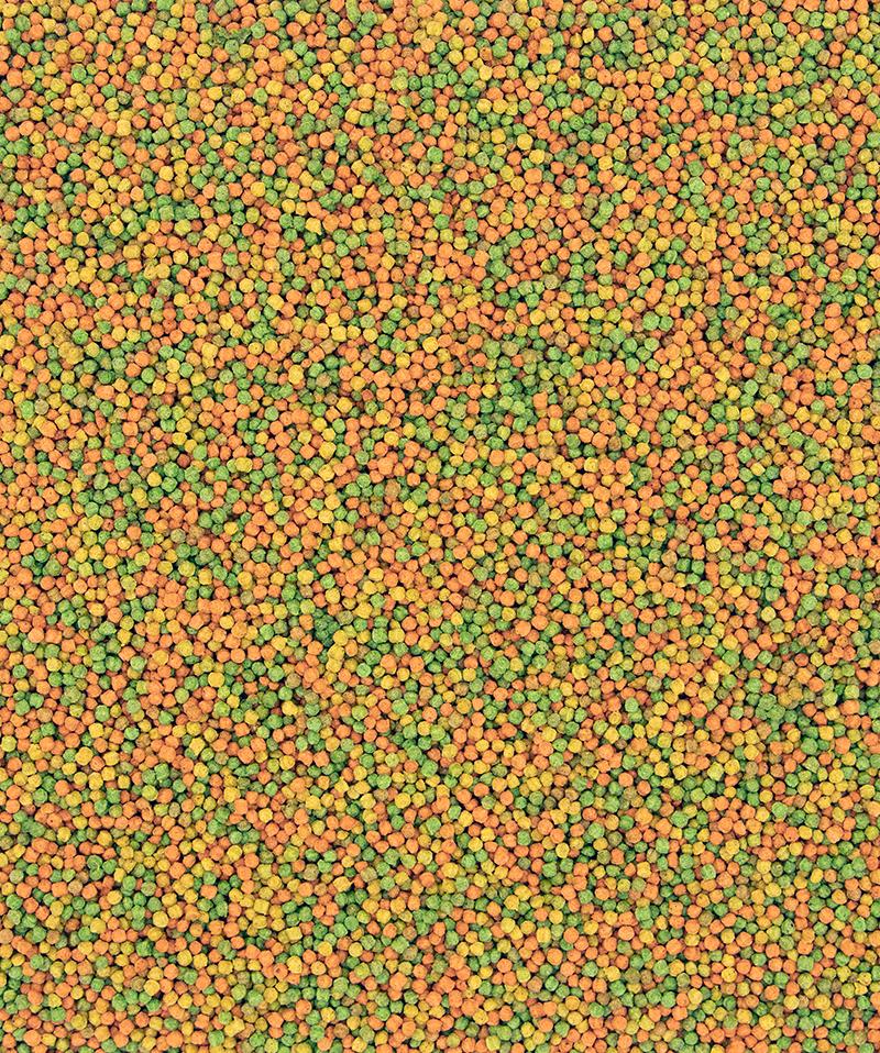 Versele-Laga Nutribird B14 Small Parakeets 3kg