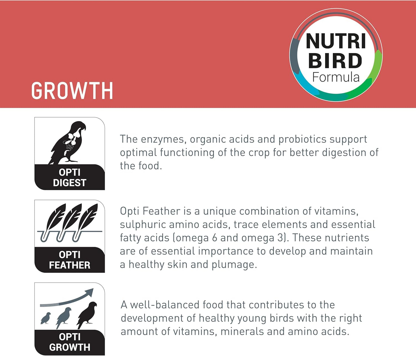 Versele-Laga Nutribird A19 Hand Rearing Formula 800g