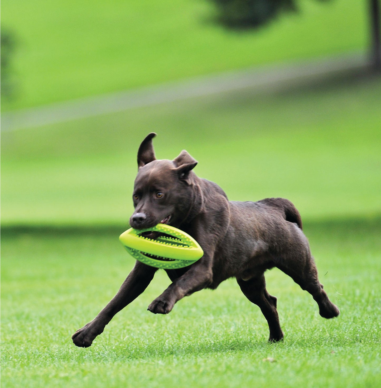 Grubber Rugby Ball Mini
