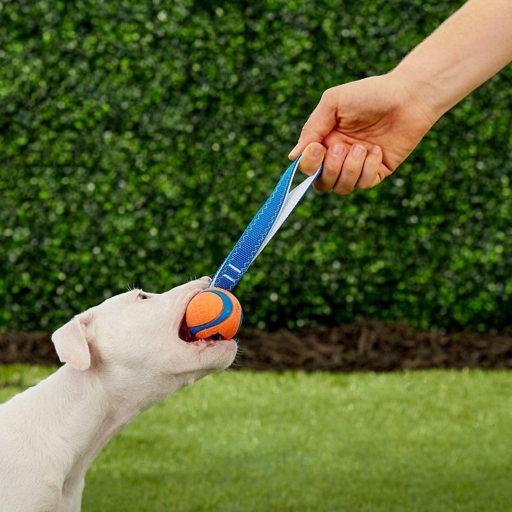 Chuckit! Ultra Tug Small 4.8cm