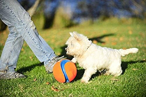 Chuckit! Kick Fetch Small 15cm