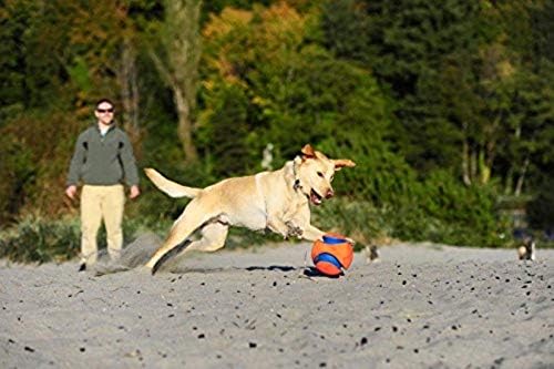 Chuckit! Kick Fetch Small 15cm