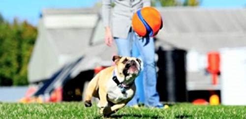 Chuckit! Kick Fetch Small 15cm
