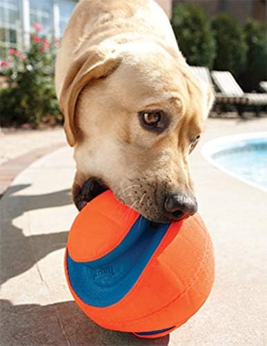 Chuckit! Kick Fetch Small 15cm