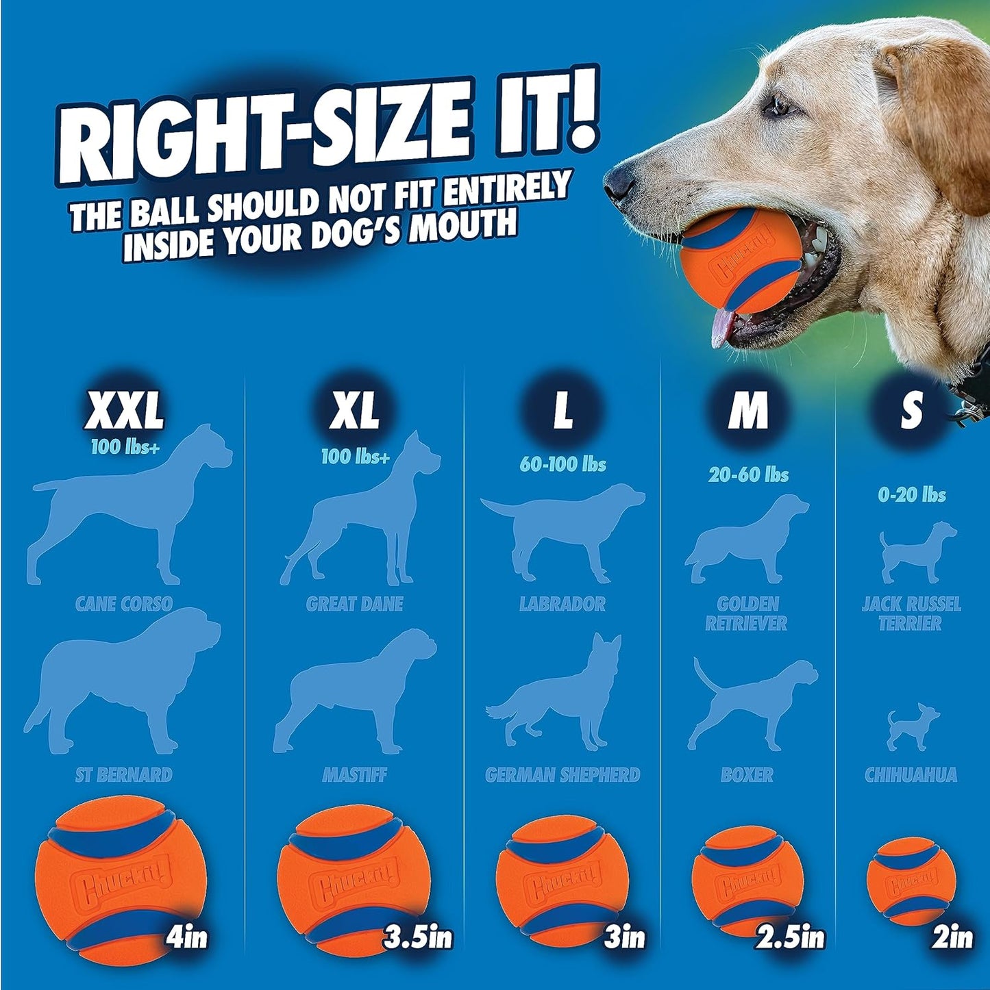 Chuckit! Sport Ball Launcher – Medium 18 (46cm) | Dog Fetch Toy with Ball