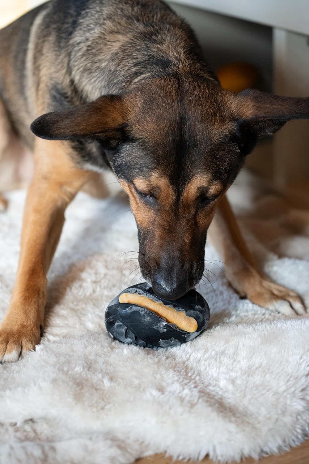 Zeus Chew Chasers Treat Rugby Ball Black 12.5cm