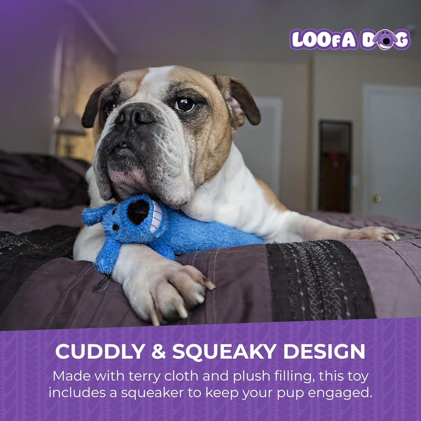 Happypet Loofa Dog Soft Plush Dog Toy 12" Assorted Colours