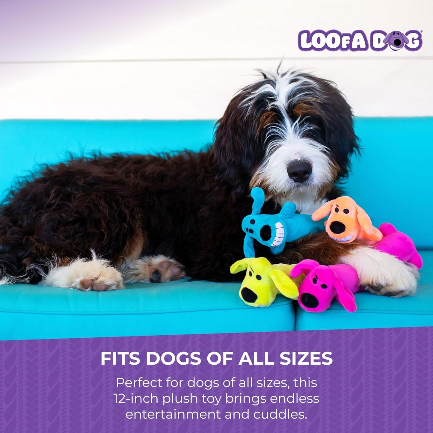 Happypet Loofa Dog Soft Plush Dog Toy 12" Assorted Colours