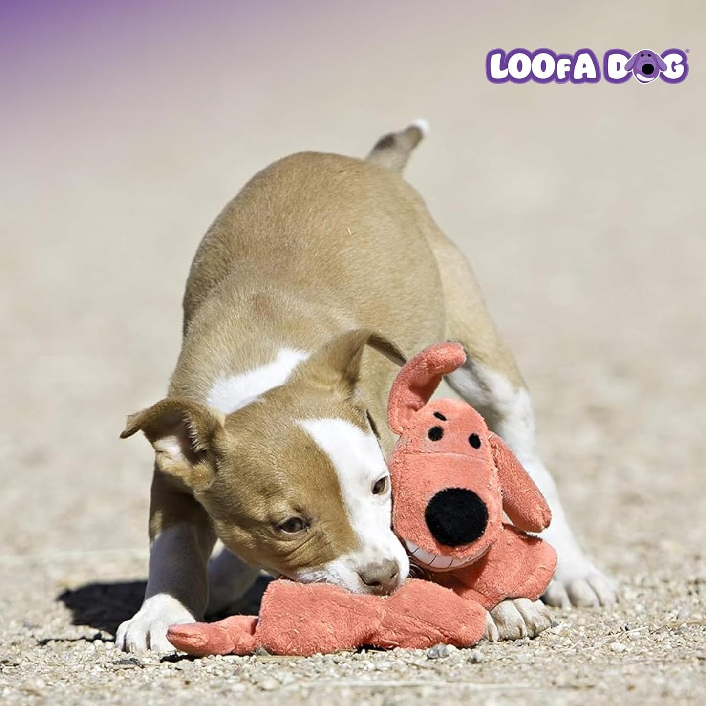 Happypet Loofa Dog Soft Plush Dog Toy 12" Assorted Colours