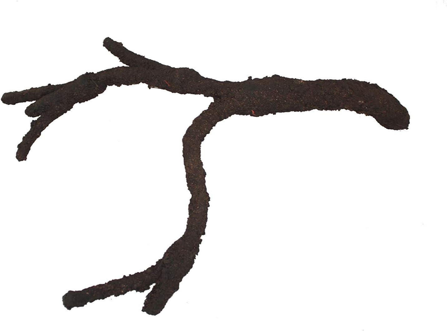 Komodo Tropical Vine Branch