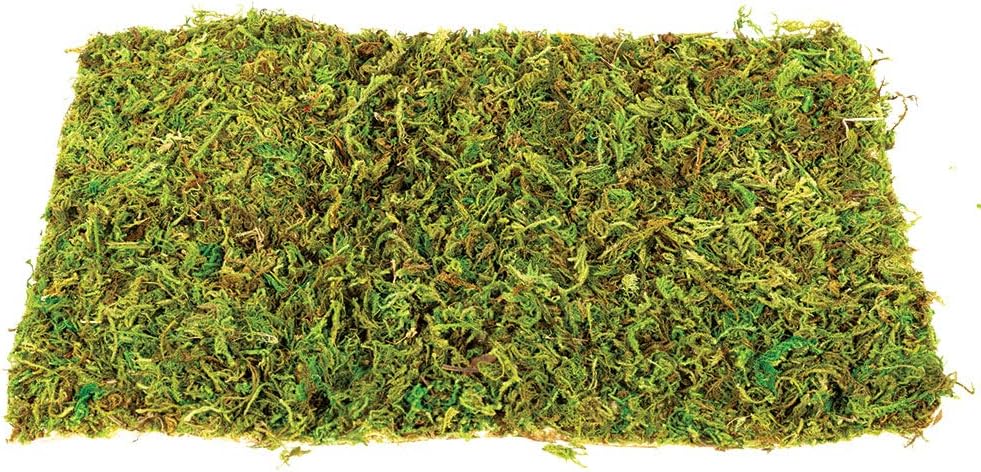 Komodo Natural Moss Mat 2pcs Small