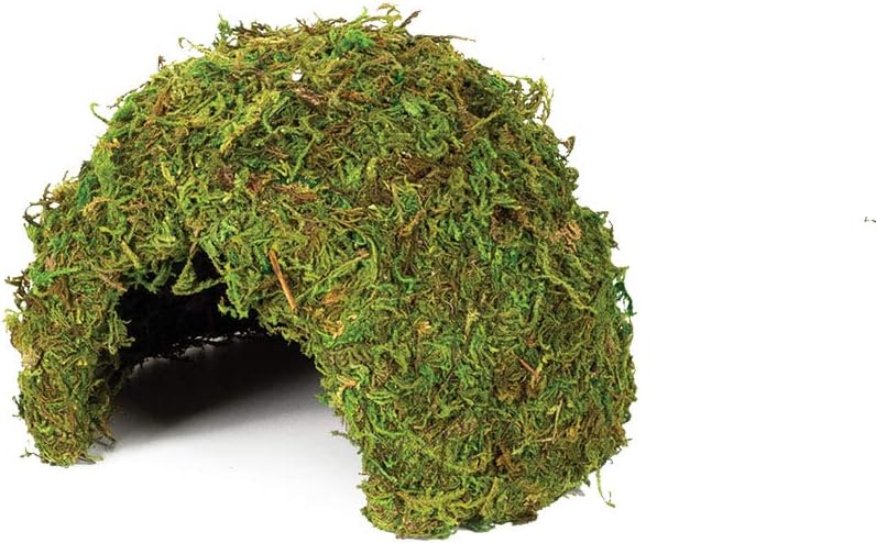 Komodo Natural Moss Cave Medium
