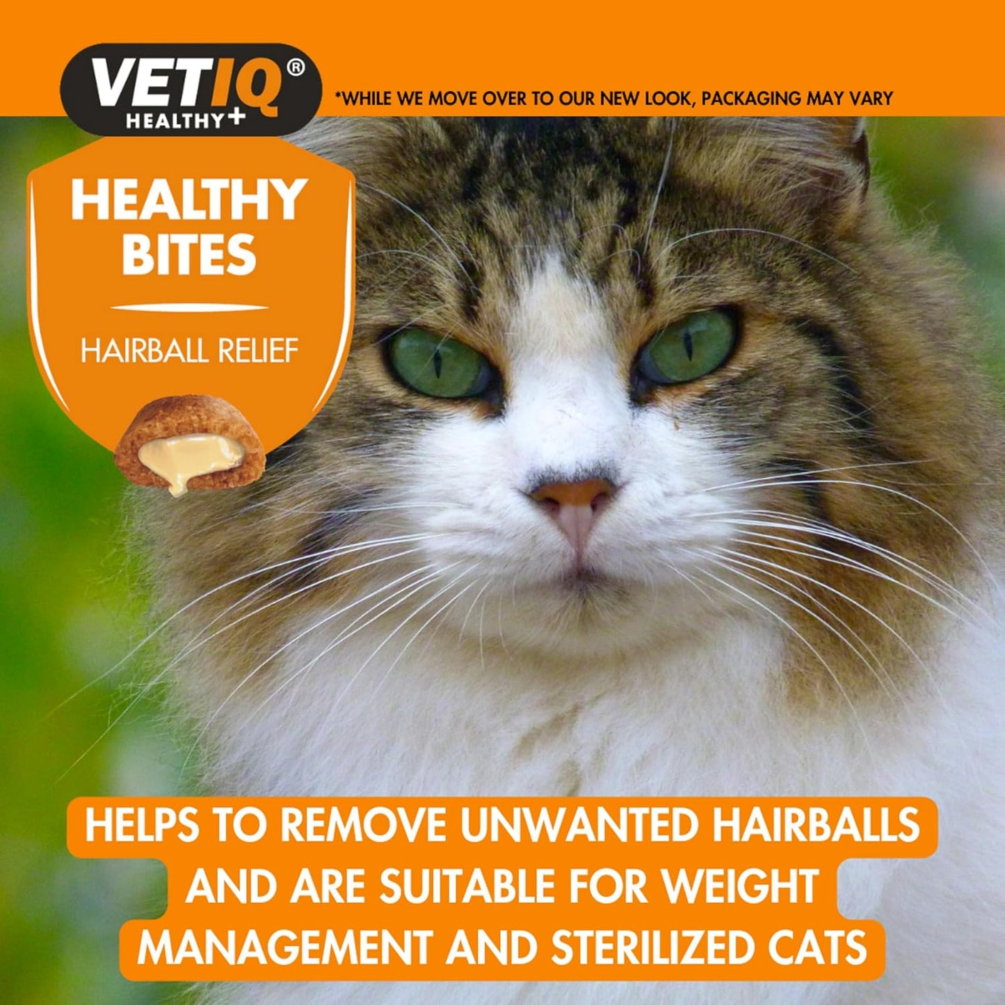VetIQ Healthy Bites Hairball Remedy 65g