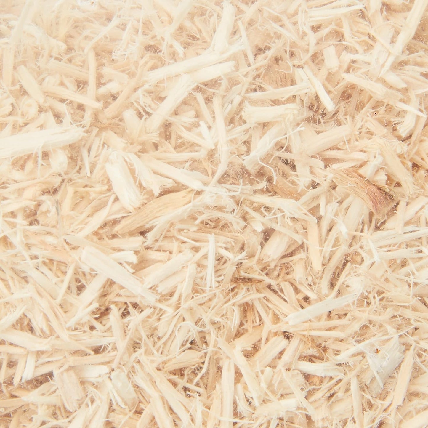 Komodo Aspen Bedding 12ltrs