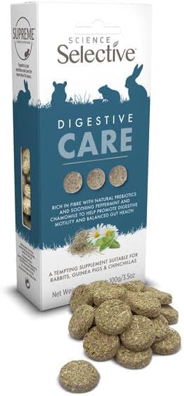 Selective Naturals Digestive Care Supplement Treats 100g