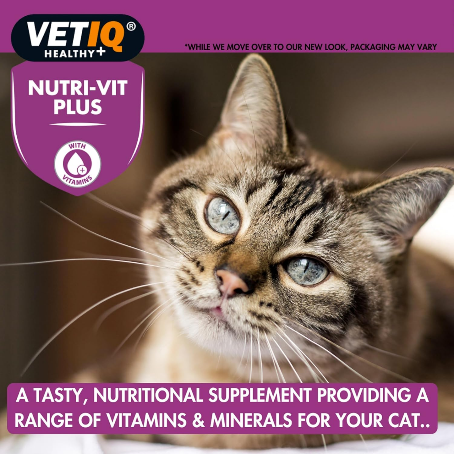 Vetiq Nutri-Vit Plus For Cats & Kittens 70g