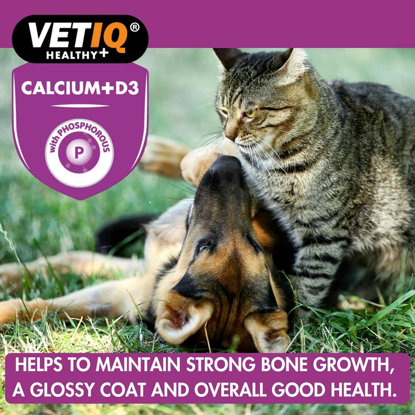 VetIQ Kalsium Plus 60 Tablets