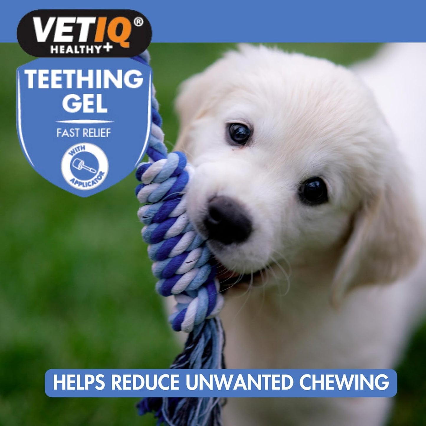VetIQ Teething Gel 50g