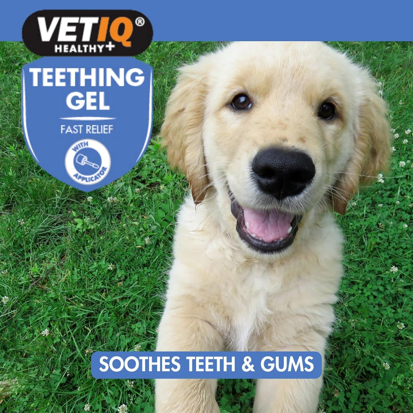 VetIQ Teething Gel 50g