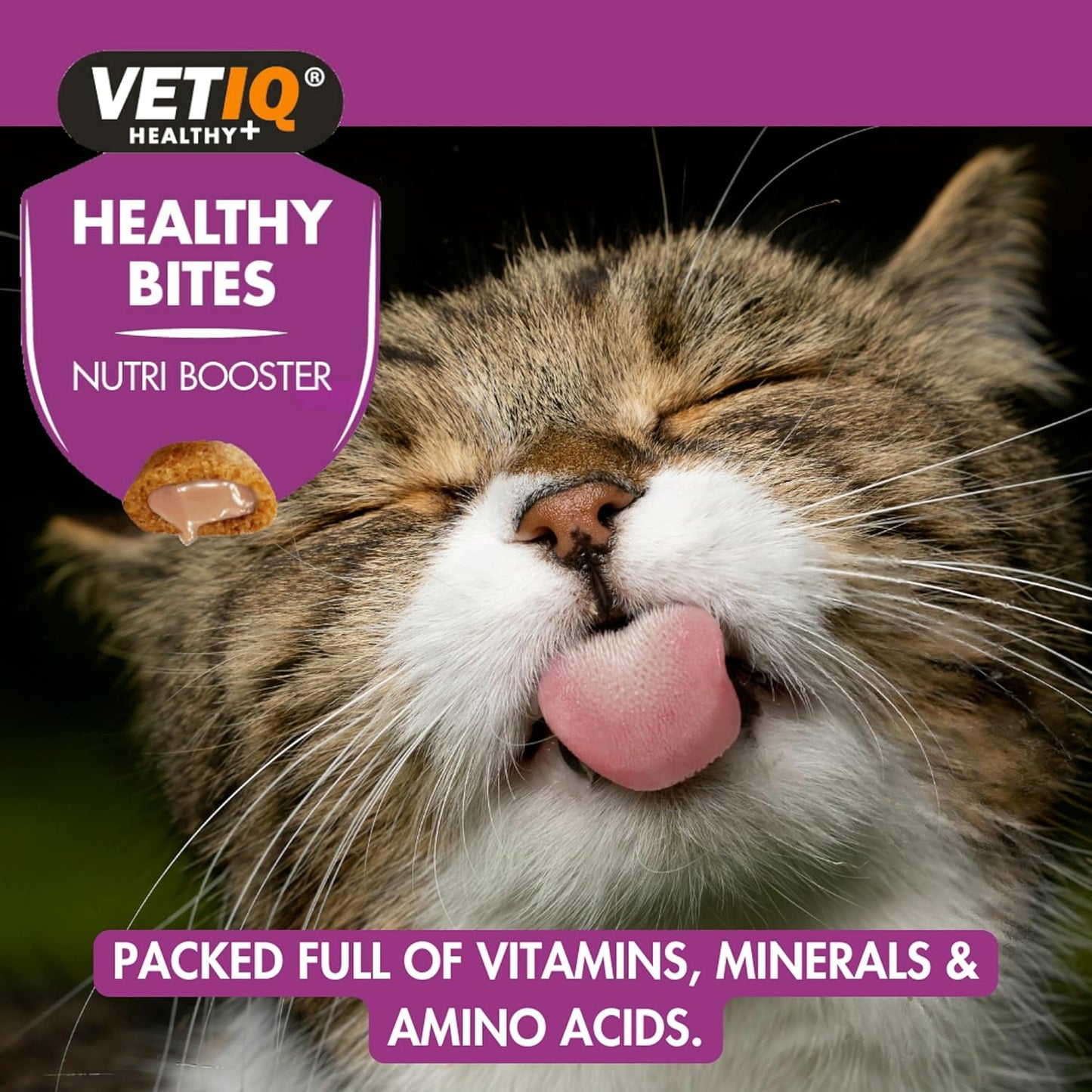 VetIQ Healthy Bites Nutri Booster 65g