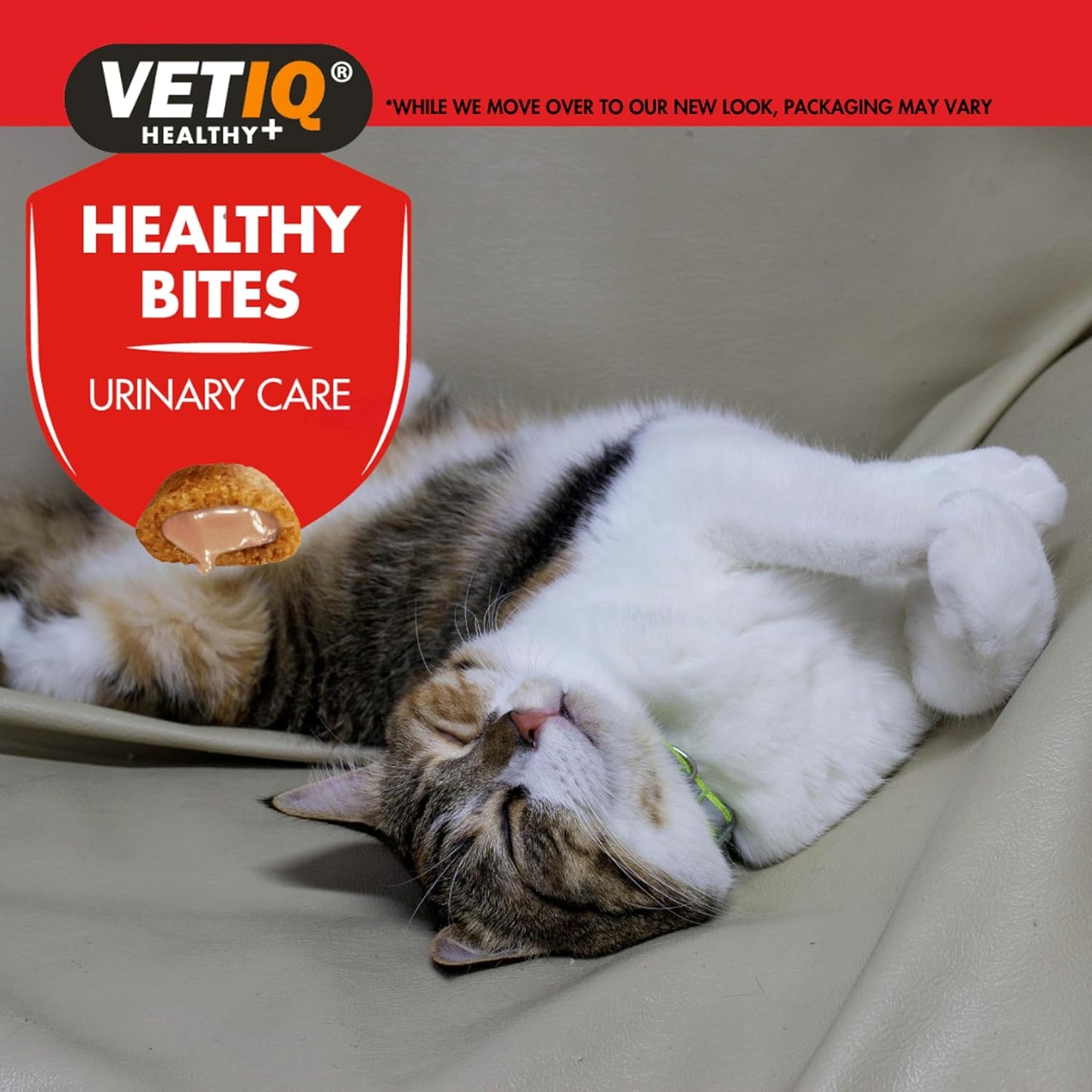VetIQ Health Urinary Treats 65g
