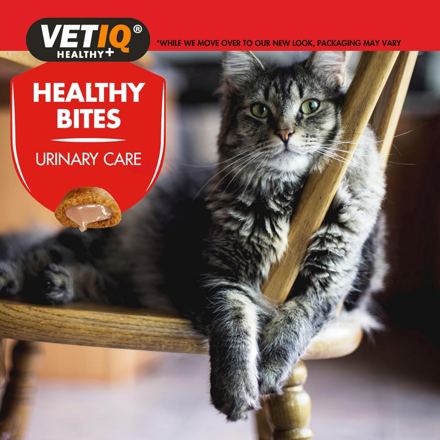 VetIQ Health Urinary Treats 65g