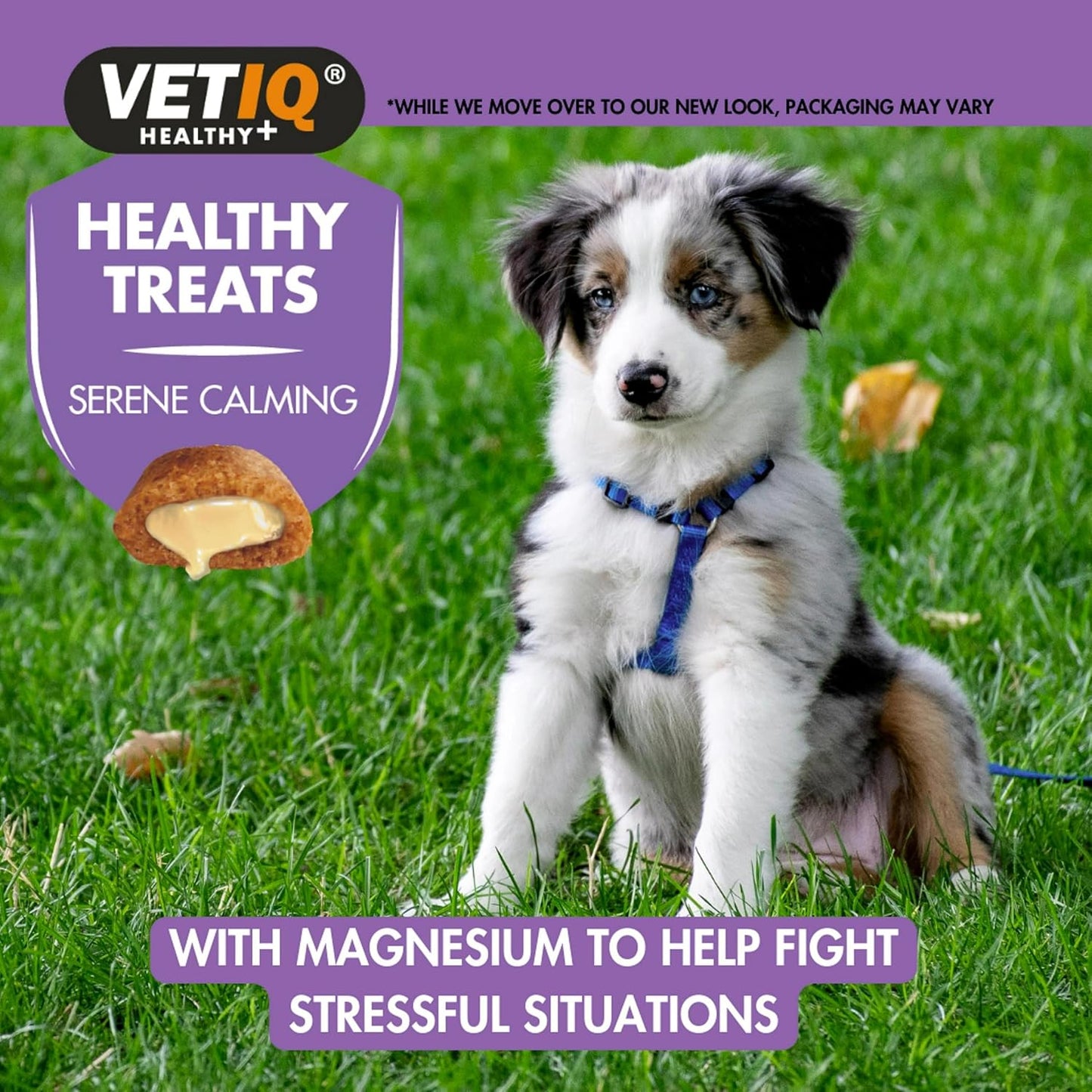 VetIQ Healthy Calming Treats For Dogs & Puppies 50g