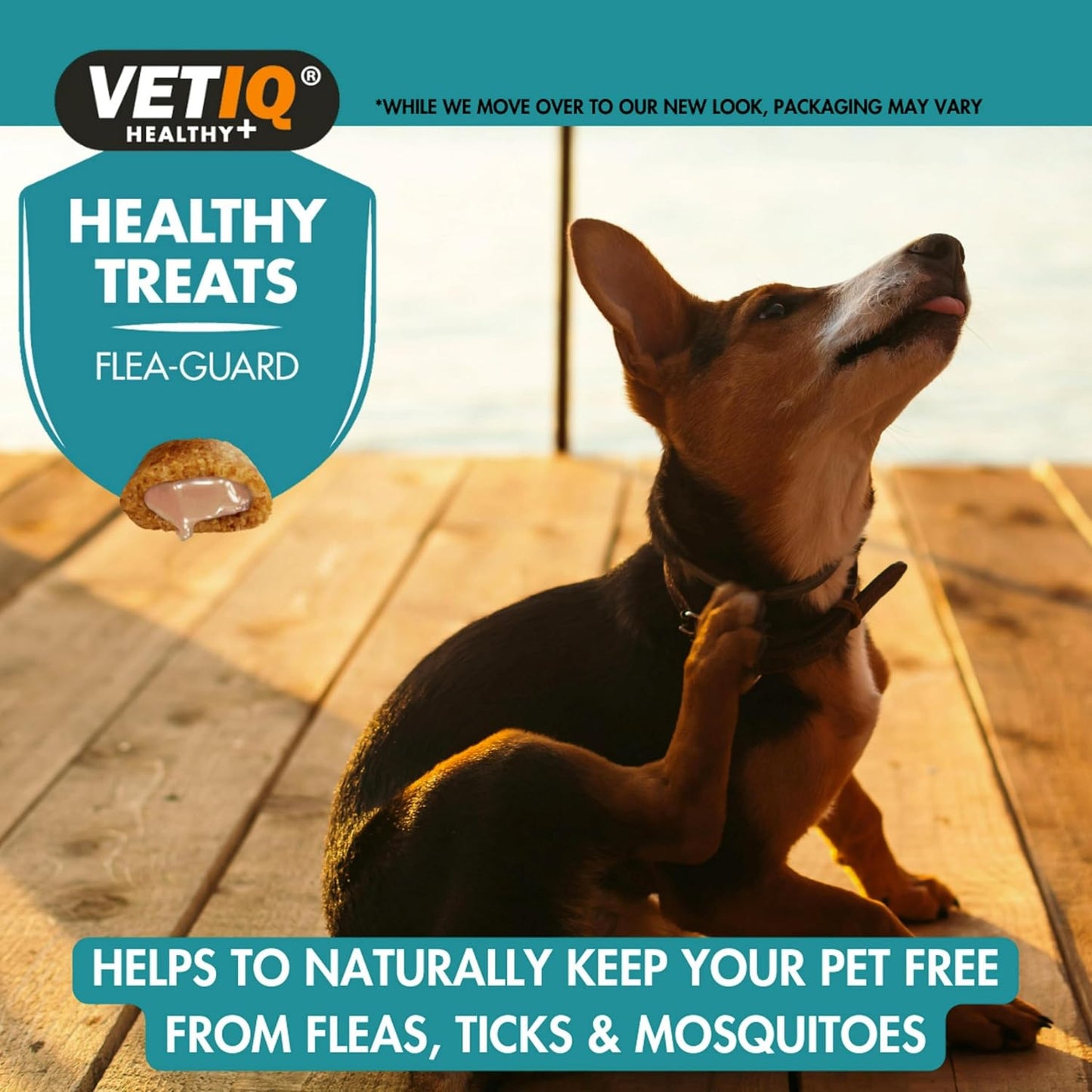 VetIQ Flea Guard Treats 70g