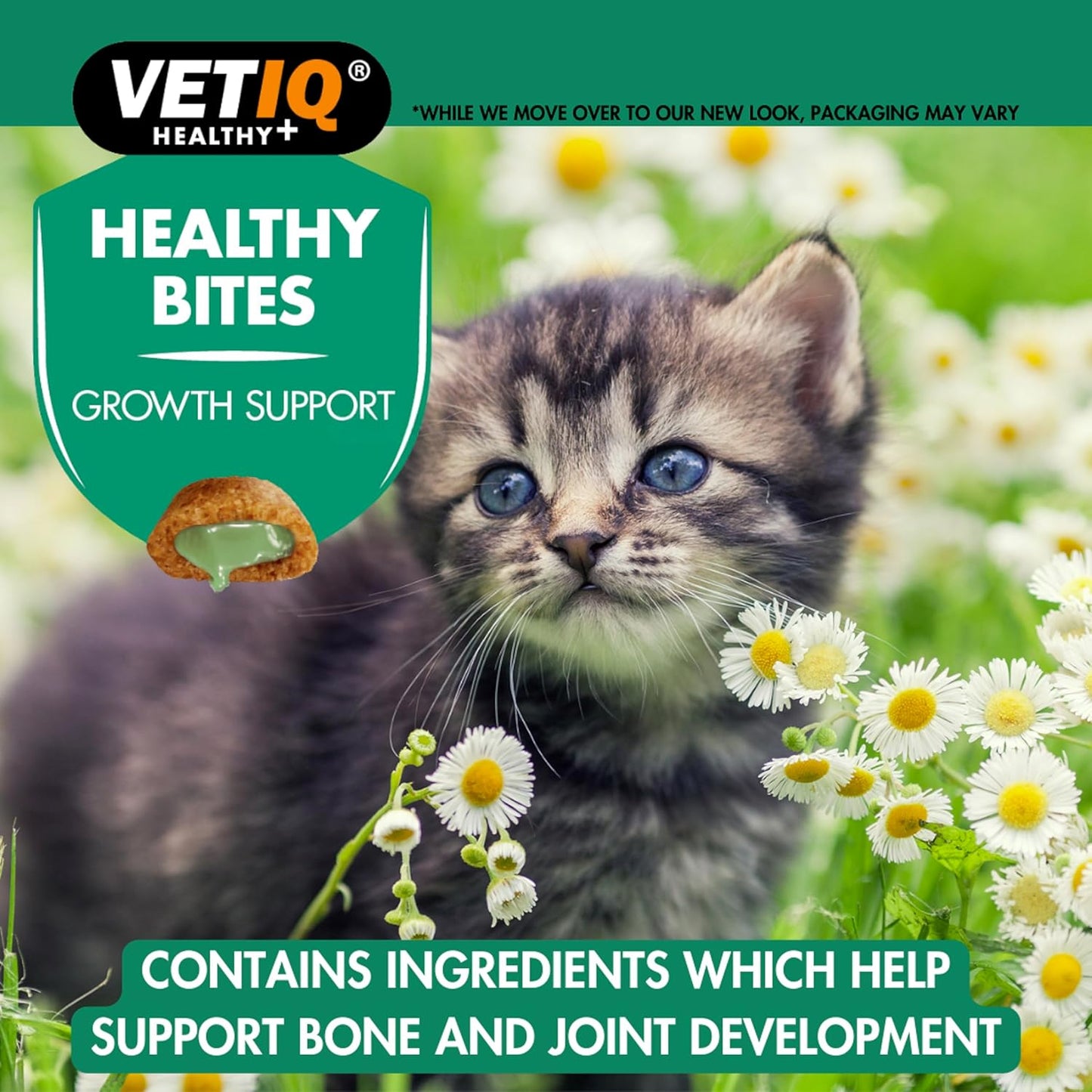 VetIQ Healthy Bites Growth Support Kitten Treats 65g