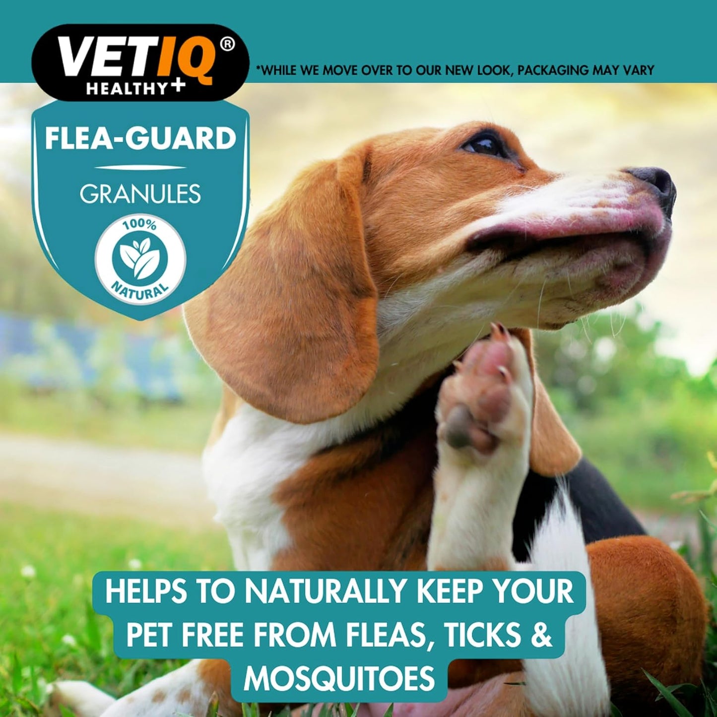VetIQ Flea Guard Powder 60g