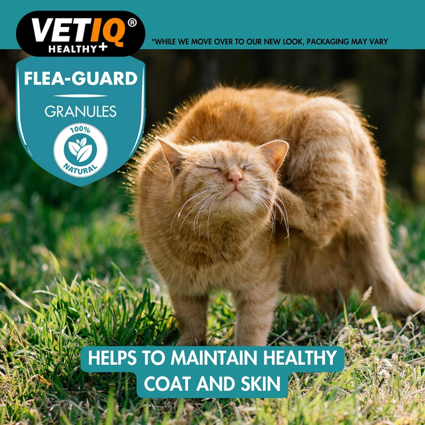 VetIQ Flea Guard Powder 60g