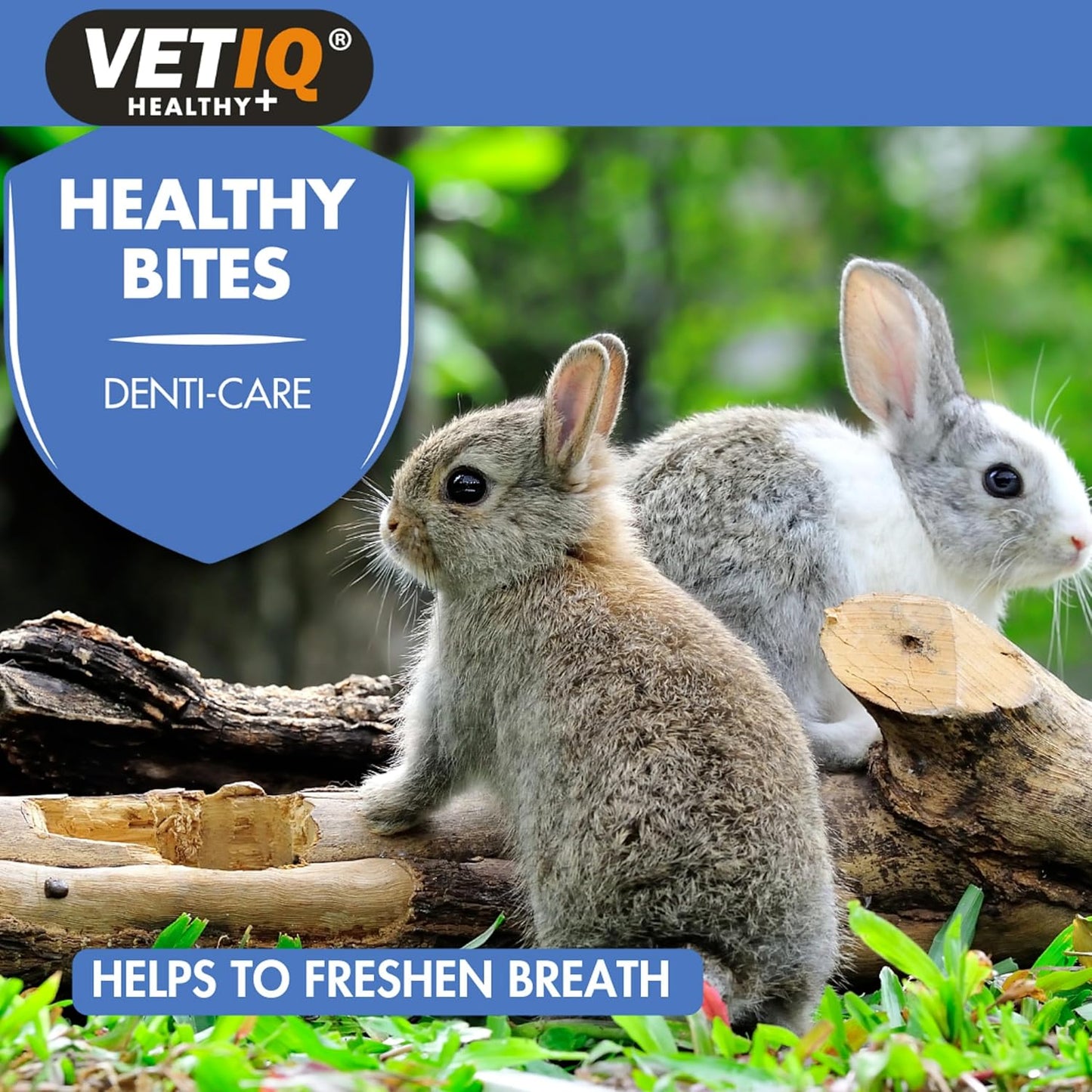 VetIQ Healthy Bites Small Animal Dental Treats 30g