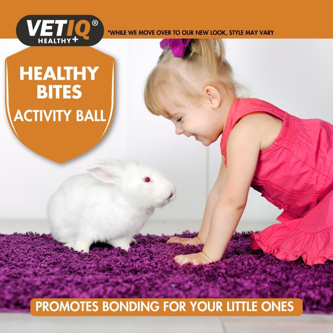 VetIQ Healthy Bites Activity Ball For Small Animals