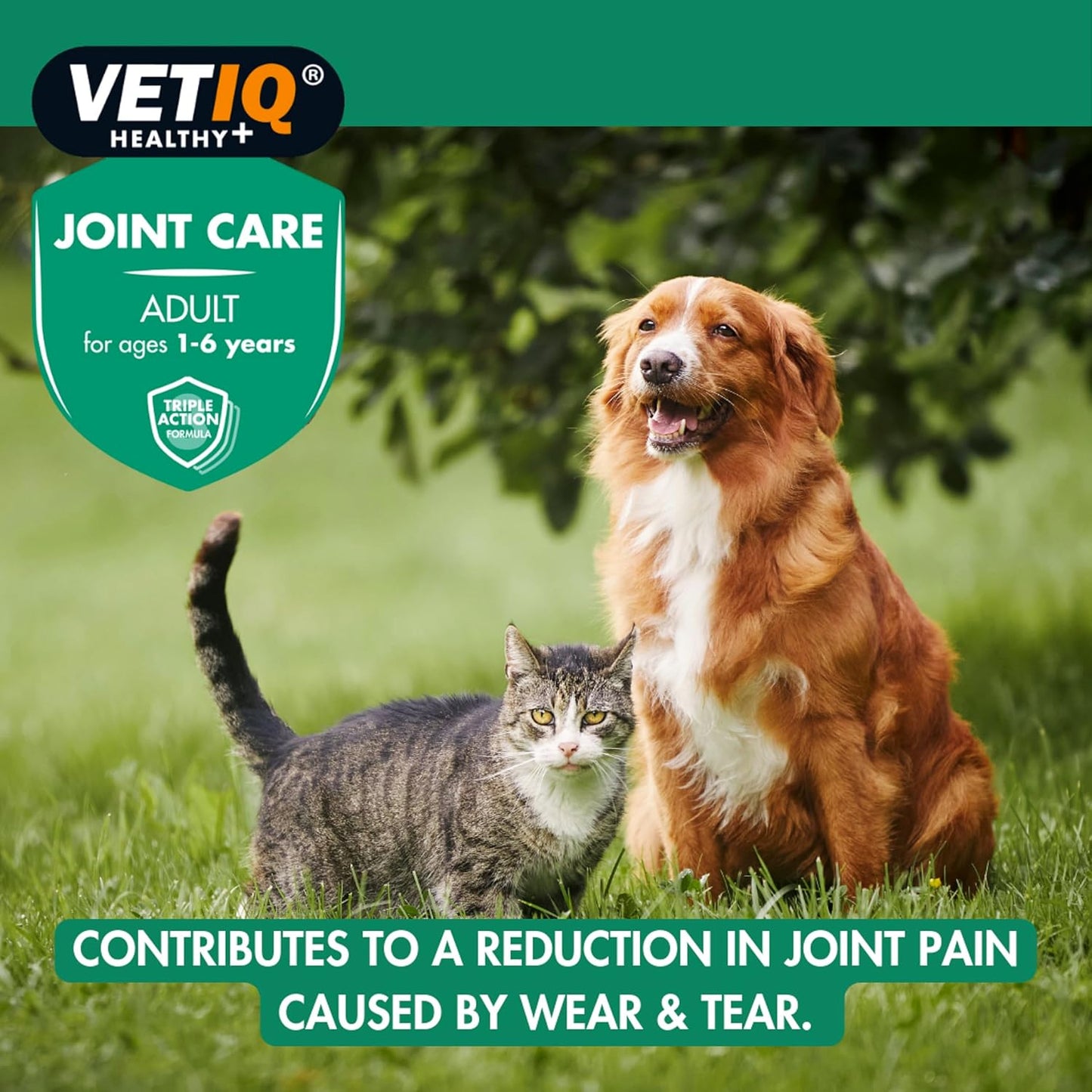 VetIQ Joint Care Adult 45 Tablets