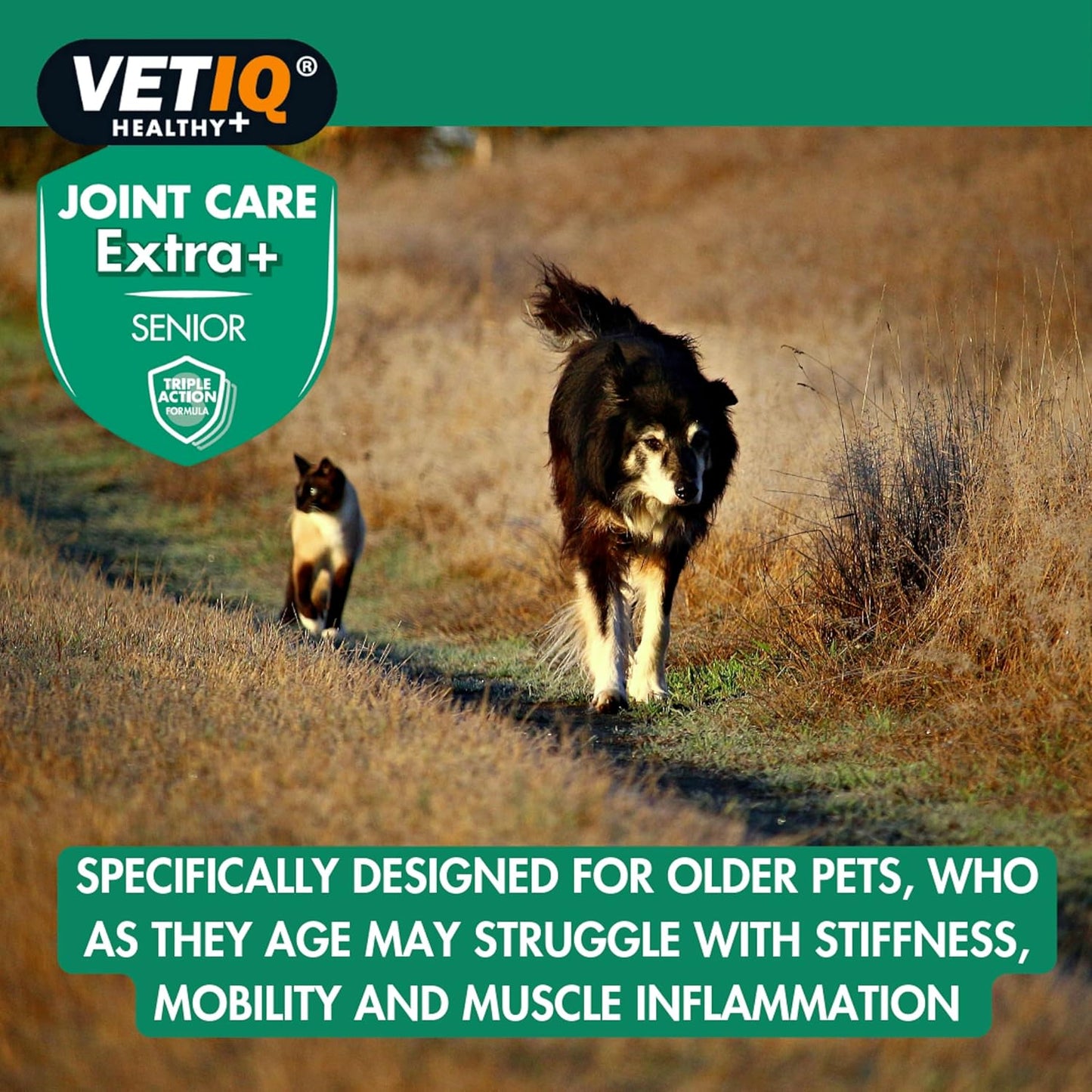 VetIQ Joint Care Extra+ Senior 45 Tablets
