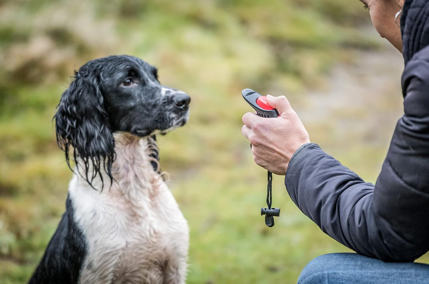 Mikki 3 In 1 Whistle Clicker & Poo Bag Dispenser
