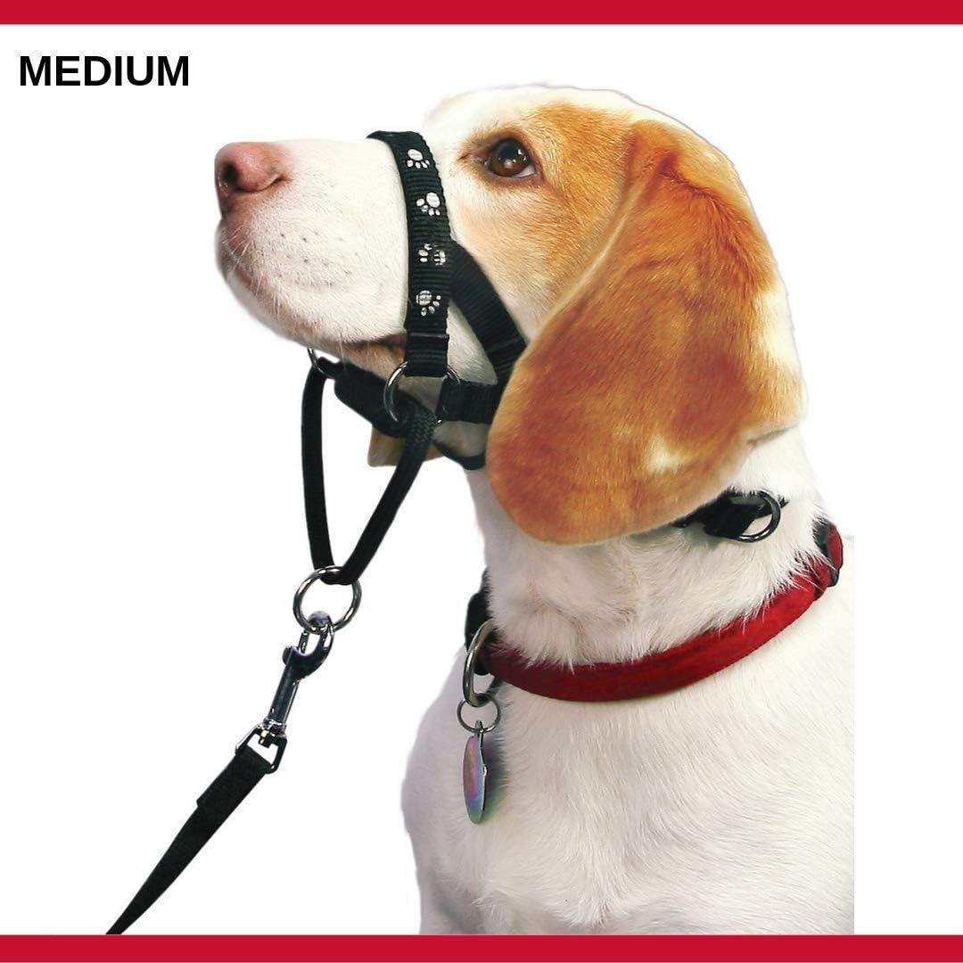Mikki Walk Ease Headcollar Medium