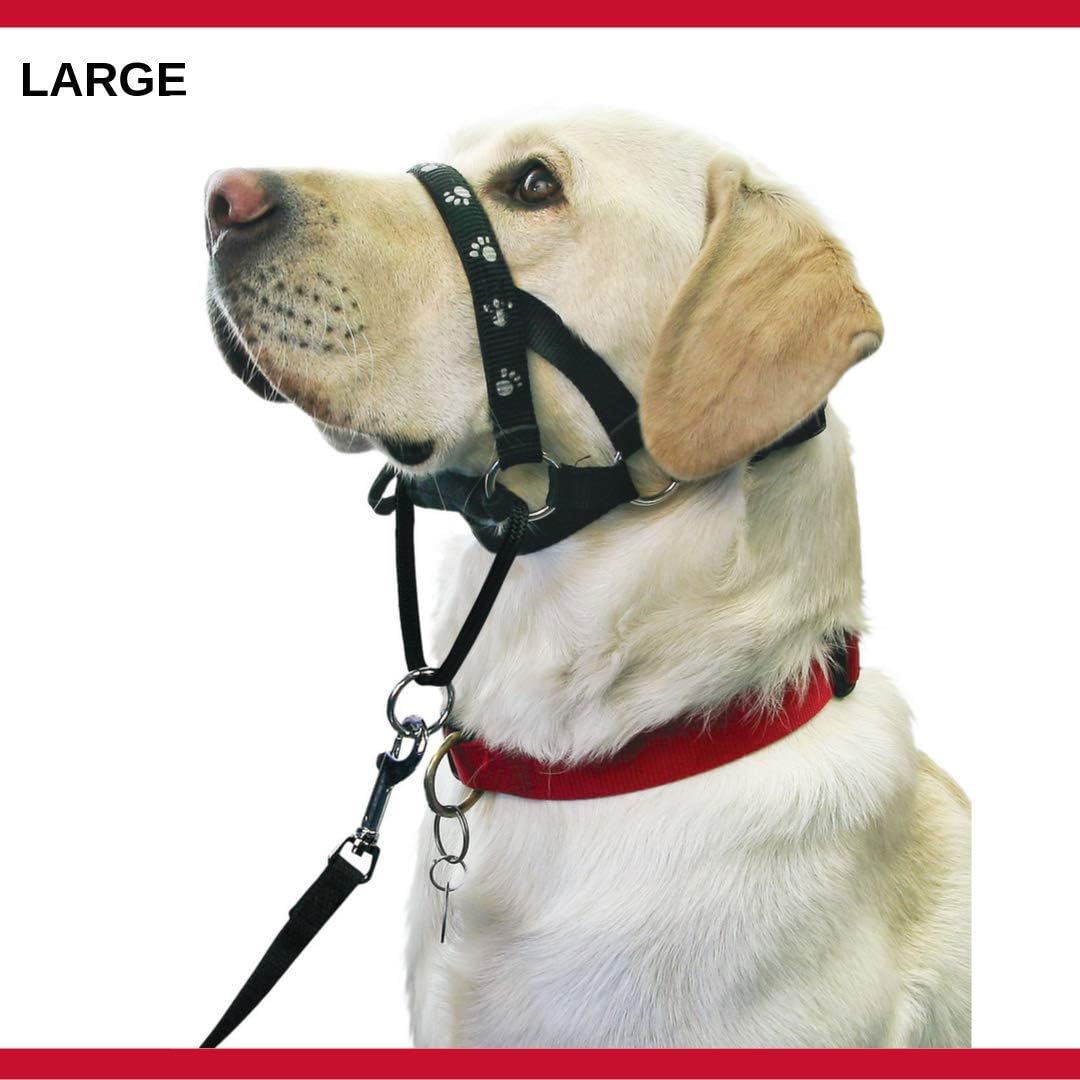 Mikki Walk Ease Headcollar Large