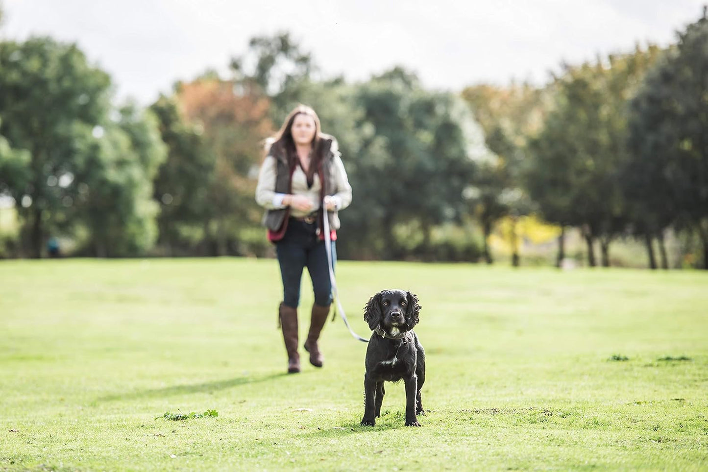 Mikki Recall Training Lead 20ft(6.10m) Black Or Red